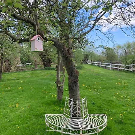 Historisches Fuer 8 Personen Mit Luxus Und Auf 2 Etagen Ideal Fuer Familien Und Hunde 2500m2 Eingezaeunt An Der Ostsee 펜션