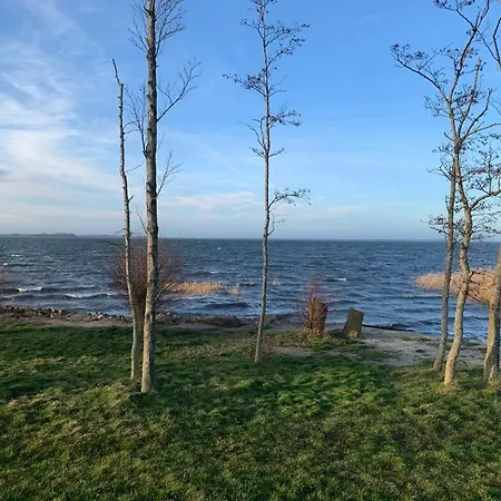 펜션 Historisches Fuer 8 Personen Mit Luxus Und Auf 2 Etagen Ideal Fuer Familien Und Hunde 2500m2 Eingezaeunt An Der Ostsee Niepars