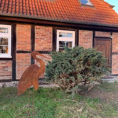 Historisches Fuer 8 Personen Mit Luxus Und Auf 2 Etagen Ideal Fuer Familien Und Hunde 2500m2 Eingezaeunt An Der Ostsee 펜션