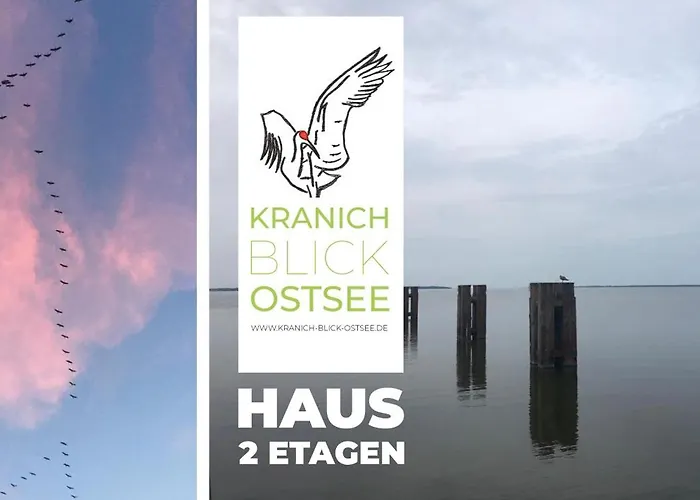 Semesterbostad Historisches Fuer 8 Personen Mit Luxus Und Auf 2 Etagen Ideal Fuer Familien Und Hunde 2500m2 Eingezaeunt An Der Ostsee *