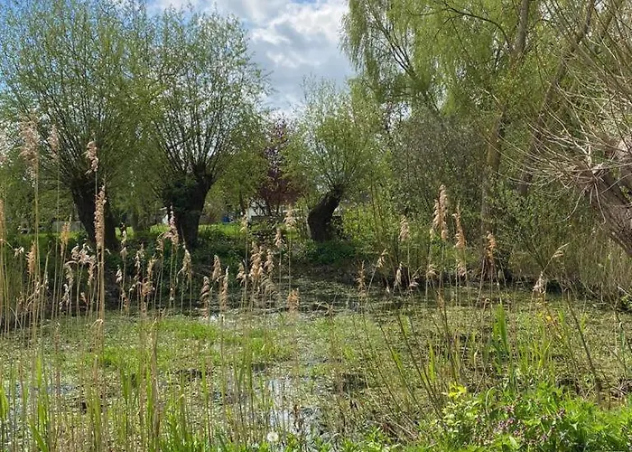 Historisches Fuer 8 Personen Mit Luxus Und Auf 2 Etagen Ideal Fuer Familien Und Hunde 2500m2 Eingezaeunt An Der Ostsee