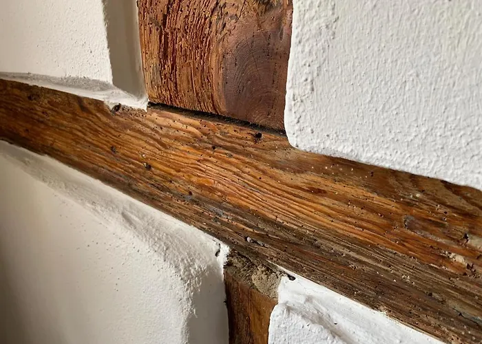 Semesterbostad Historisches Fuer 8 Personen Mit Luxus Und Auf 2 Etagen Ideal Fuer Familien Und Hunde 2500m2 Eingezaeunt An Der Ostsee Niepars