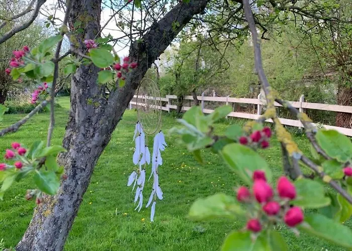 Historisches Fuer 8 Personen Mit Luxus Und Auf 2 Etagen Ideal Fuer Familien Und Hunde 2500m2 Eingezaeunt An Der Ostsee * Niepars