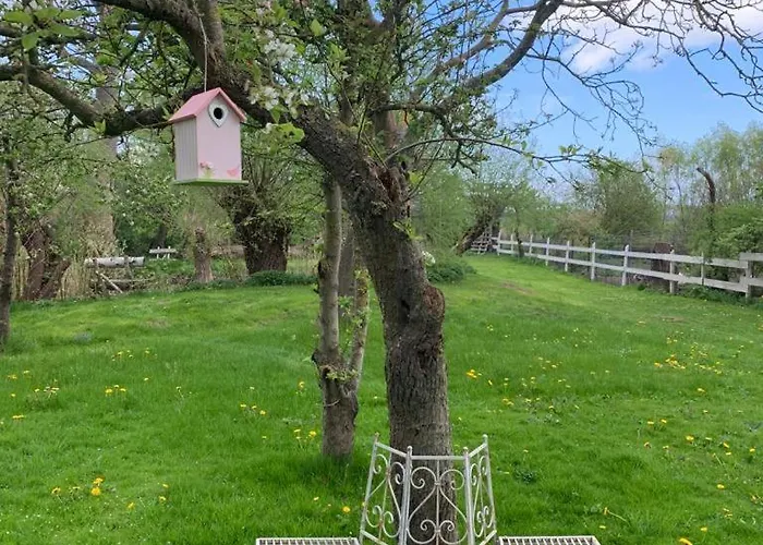 Historisches Fuer 8 Personen Mit Luxus Und Auf 2 Etagen Ideal Fuer Familien Und Hunde 2500m2 Eingezaeunt An Der Ostsee Semesterbostad