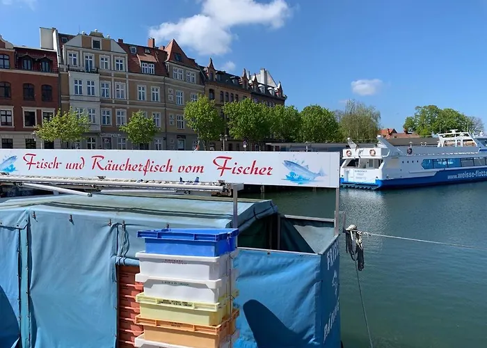 Historisches Fuer 8 Personen Mit Luxus Und Auf 2 Etagen Ideal Fuer Familien Und Hunde 2500m2 Eingezaeunt An Der Ostsee Semesterbostad *