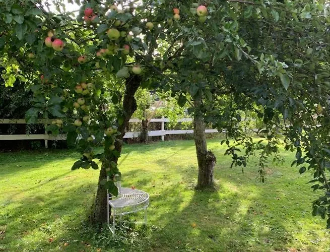 Semesterbostad Historisches Fuer 8 Personen Mit Luxus Und Auf 2 Etagen Ideal Fuer Familien Und Hunde 2500m2 Eingezaeunt An Der Ostsee