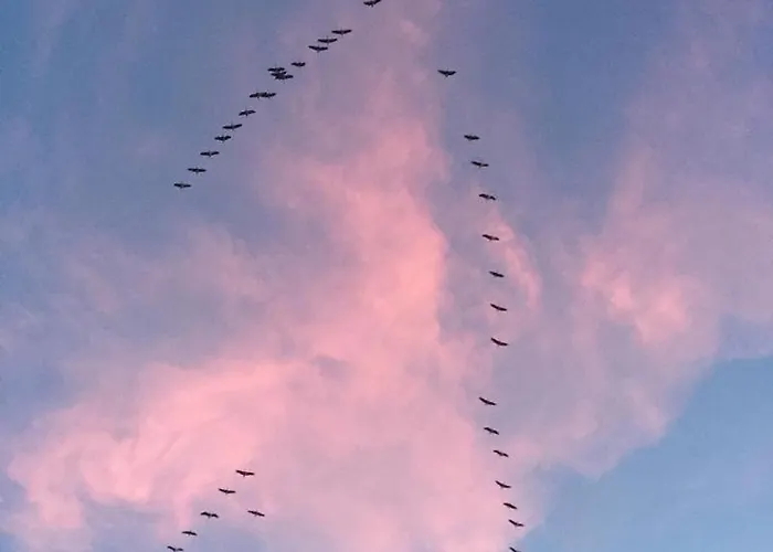 Semesterbostad Historisches Fuer 8 Personen Mit Luxus Und Auf 2 Etagen Ideal Fuer Familien Und Hunde 2500m2 Eingezaeunt An Der Ostsee *