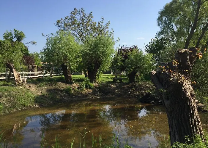 Historisches Fuer 8 Personen Mit Luxus Und Auf 2 Etagen Ideal Fuer Familien Und Hunde 2500m2 Eingezaeunt An Der Ostsee Semesterbostad Niepars
